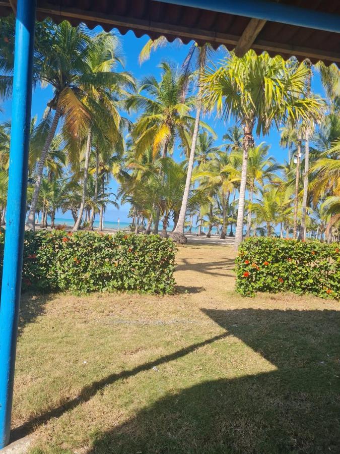 פאלומינו Hotel Playa Mandala מראה חיצוני תמונה