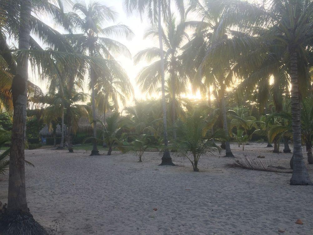 פאלומינו Hotel Playa Mandala מראה חיצוני תמונה